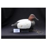 Canvasback Drake