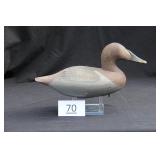 Canvasback Hen
