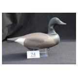 Atlantic Brant