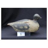Eider Hen