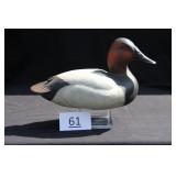 Canvasback Drake