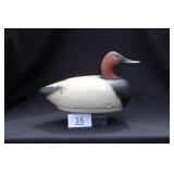 Canvasback Drake