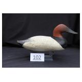 Canvasback Drake
