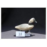 Bufflehead Drake
