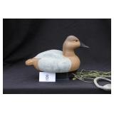 Canvasback Hen