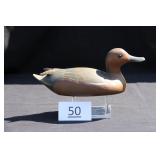 Cinnamon Teal