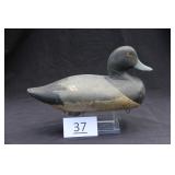 Bluebill Drake