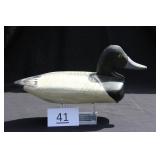 Bluebill Drake