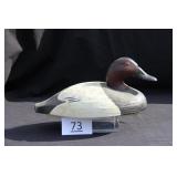 Canvasback Drake