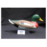 Mallard Drake