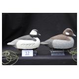 Bufflehead Pair