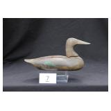 Pintail Hen