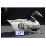 Atlantic Brant