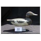 Bluebill Drake