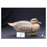 Mallard Hen