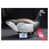 Atlantic Brant