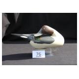 Pintail Drake