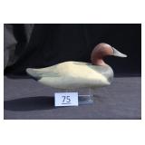 Canvasback Drake