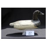 Canvasback Drake