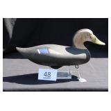 Black Duck