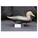 Black Duck