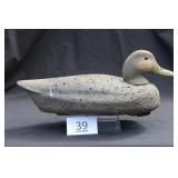Black Duck