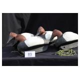 4 Canvasback Drakes