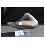 Gadwall Drake