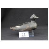 White Winged Scoter
