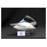 Bluebill Drake