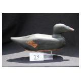 Scoter