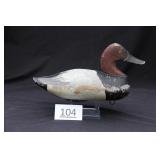 Canvasback Drake