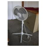 fan