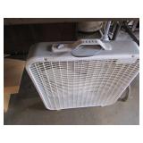 fan