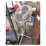 fan