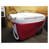 red pull cooler & items inside it
