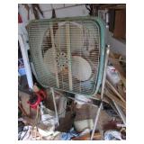 fan