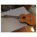 acoustic guitar