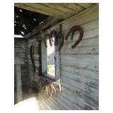 horse shoes