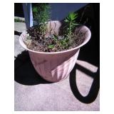 bigger flower pot