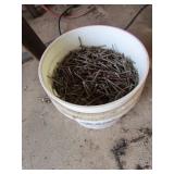 bucket of nails