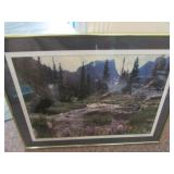 steve tohari signed picture