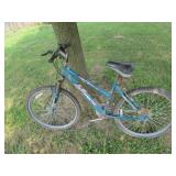 roadmaster womens bike
