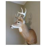 mounted deer