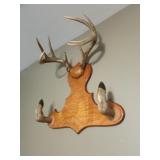 deer antlers & feet on plaque