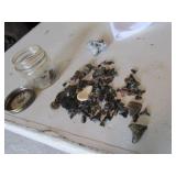 all sharks teeth & items