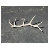elk horns