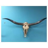 TEXAS LONGHORN SKULL - 57" SPREAD TEXAS LONGHORN SKULL - 57" SPREAD