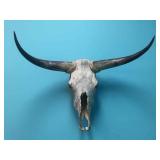 TEXAS LONGHORN SKULL - 36" SPREAD TEXAS LONGHORN SKULL - 36" SPREAD