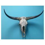 TEXAS LONGHORN SKULL - 36" SPREAD